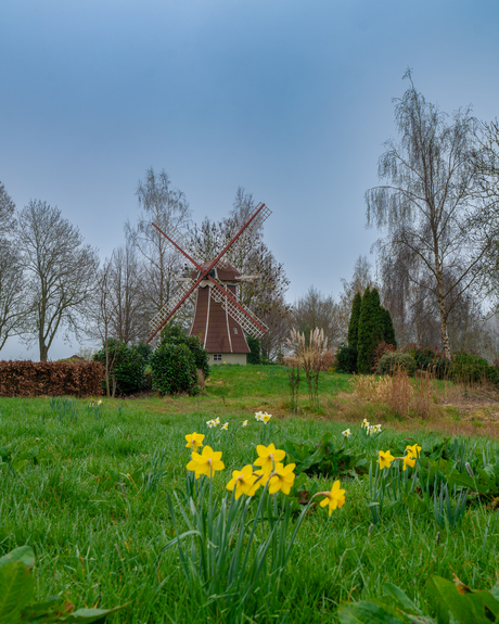 molen