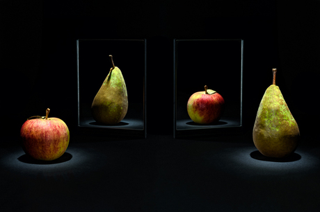 Appels met Peren Vergelijken