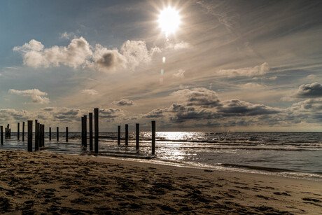 Strand Petten