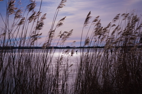 Winterse wandeling langs het ijs