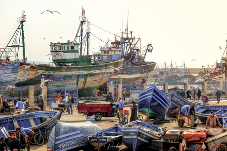 De haven van Essaouira