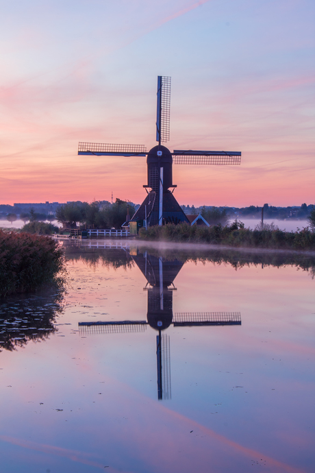 Windmill reflection