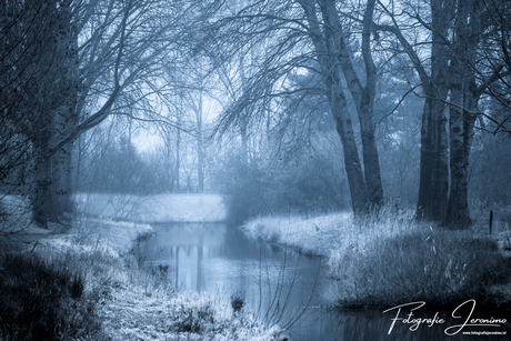Koude winterochtend bij de Watermolenbeek (Roosendaal)