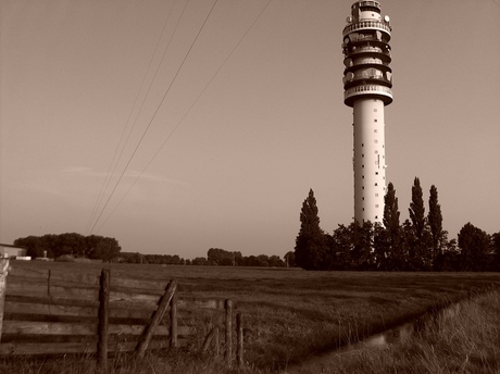 Gerbrandy Toren: Farm