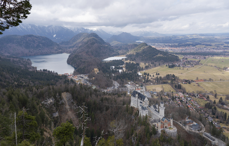 Neuschwanstein