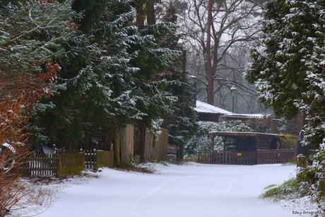 DSC_7920 Witte wereld.