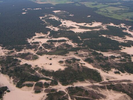 Drunense Duinen vanuit een luchtballon