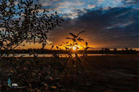 Landschap Hannie 2