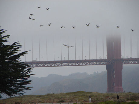 Golden Gate Bridge