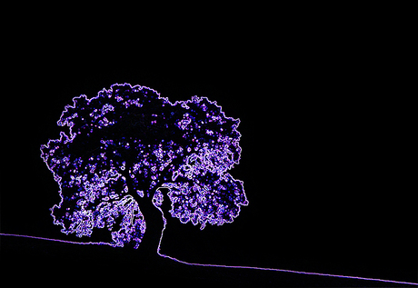 Tree at Night.