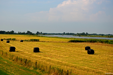 Zalk landschap