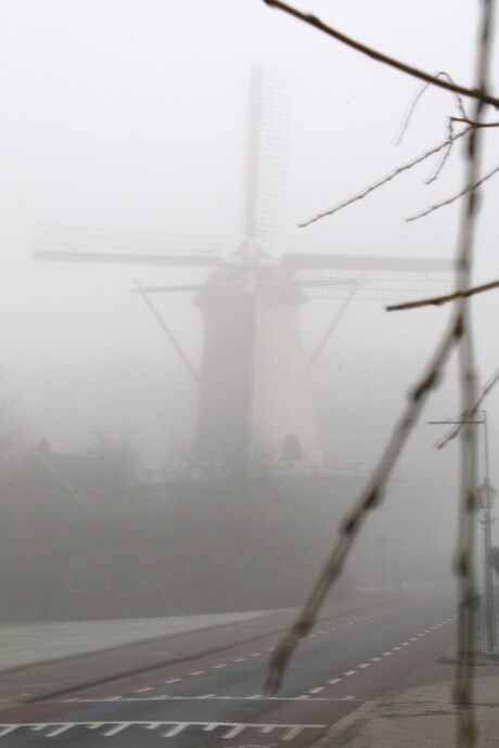 Molen in de mist