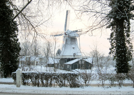 Molen in de sneeuw