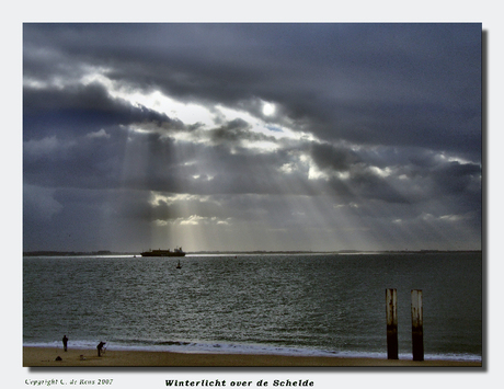 Winterlicht over de Schelde