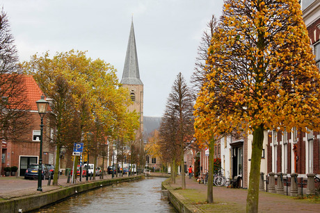 herfst in Maasland