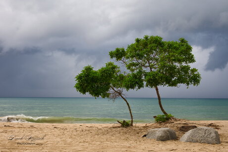 Donkere wolken boven Spanje