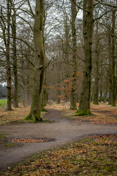 Wandelen - Soest - 19 februari 2026