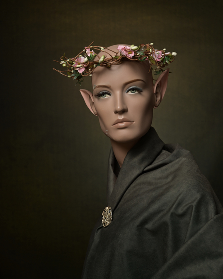 I come from Lothlórien, I'm an elf