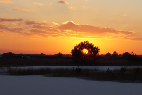 Kampina zonsondergang