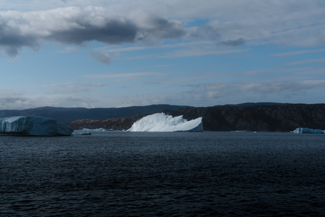 Summer in the arctic