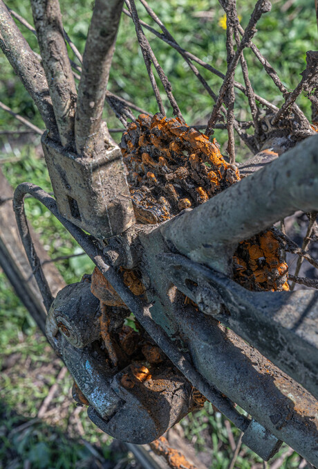 Rust roest