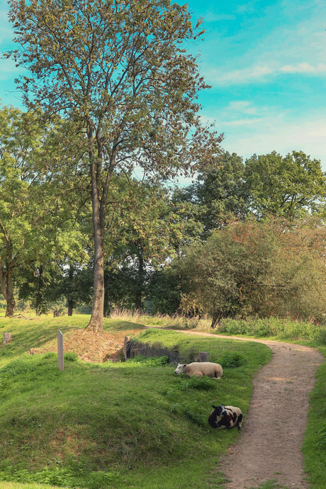 Fort Rhijnauwen