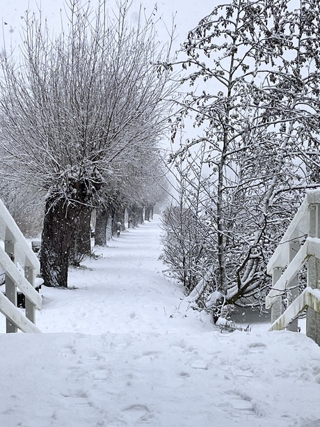 Winterwandeling 