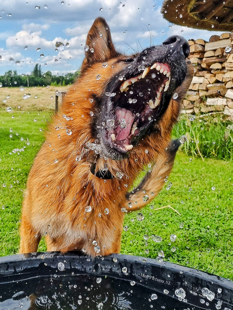 Spelen met Water