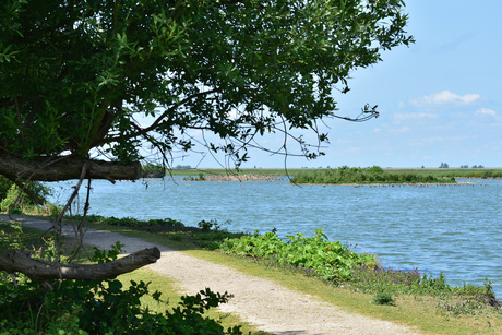 landschap