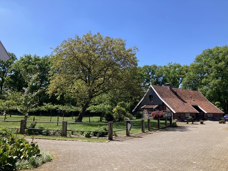 Mooie omgeving 