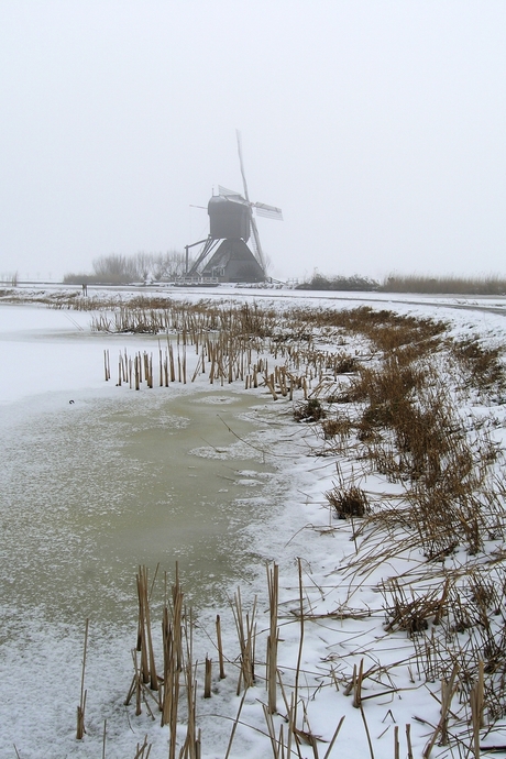 Kinderdijk 2005 (4)