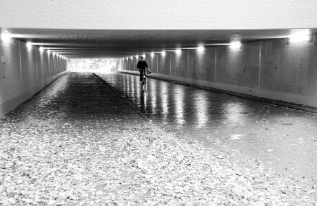 Tunnel reflectie