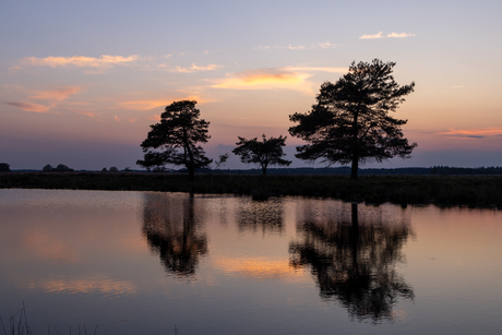 Zwoele zomeravond