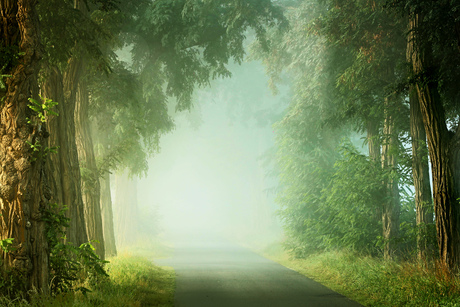 Er is niet veel tezien