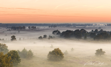 Mist op de heide