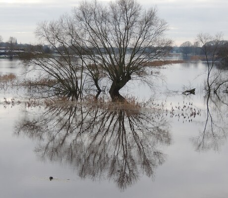Schril contrast bij wateroverlast