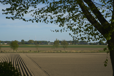 Landschap