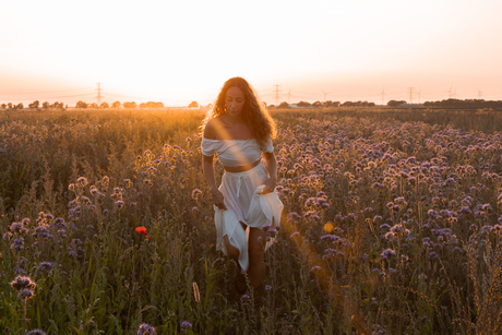 Were the Wildflowers grow