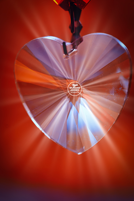 Where your heart beats, your light shines.