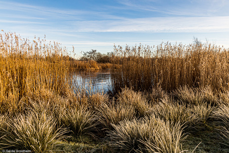 Natuurgebied Het Easterkar