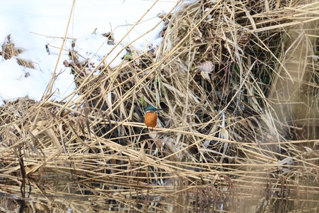 Eindelijk, I Got You !!