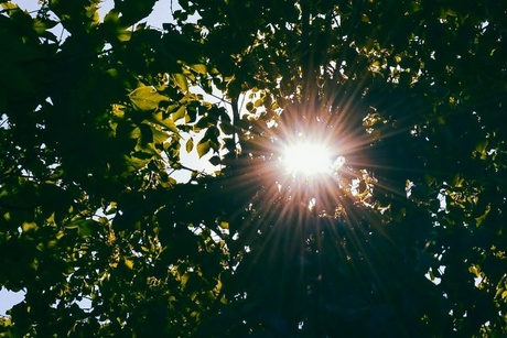 Good Morning Sunshine