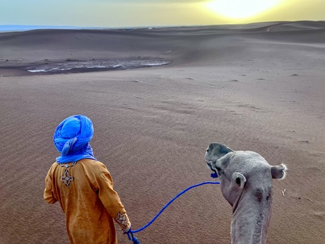 Op de rug van een kameel