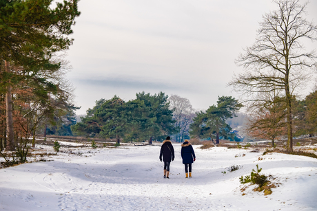 wandelaars in de sneeuw