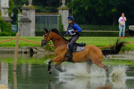 Galop door de vijver .