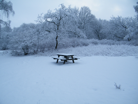 Sneeuw picknick.jpg