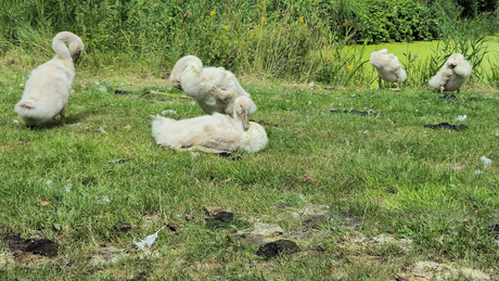 Een maand later . . .