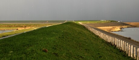 Waddendijk