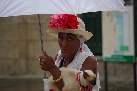 Cuban lady and cat