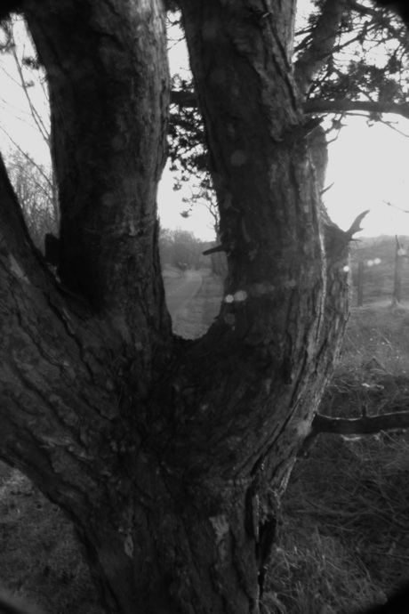 Doorkijk in de duinen